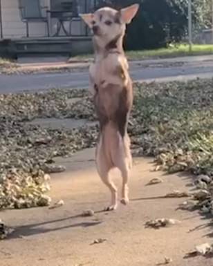 Image with missing alt attribute found on mol.im