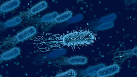 Image with missing alt attribute found on gigazine.net