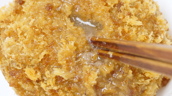 Image with missing alt attribute found on gigazine.net