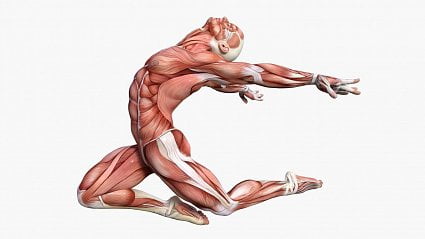 Vitalia.cz: Fascinující fascie aneb opomíjený důvod bolesti