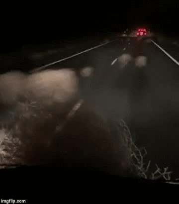 Image with missing alt attribute found on geekologie.com