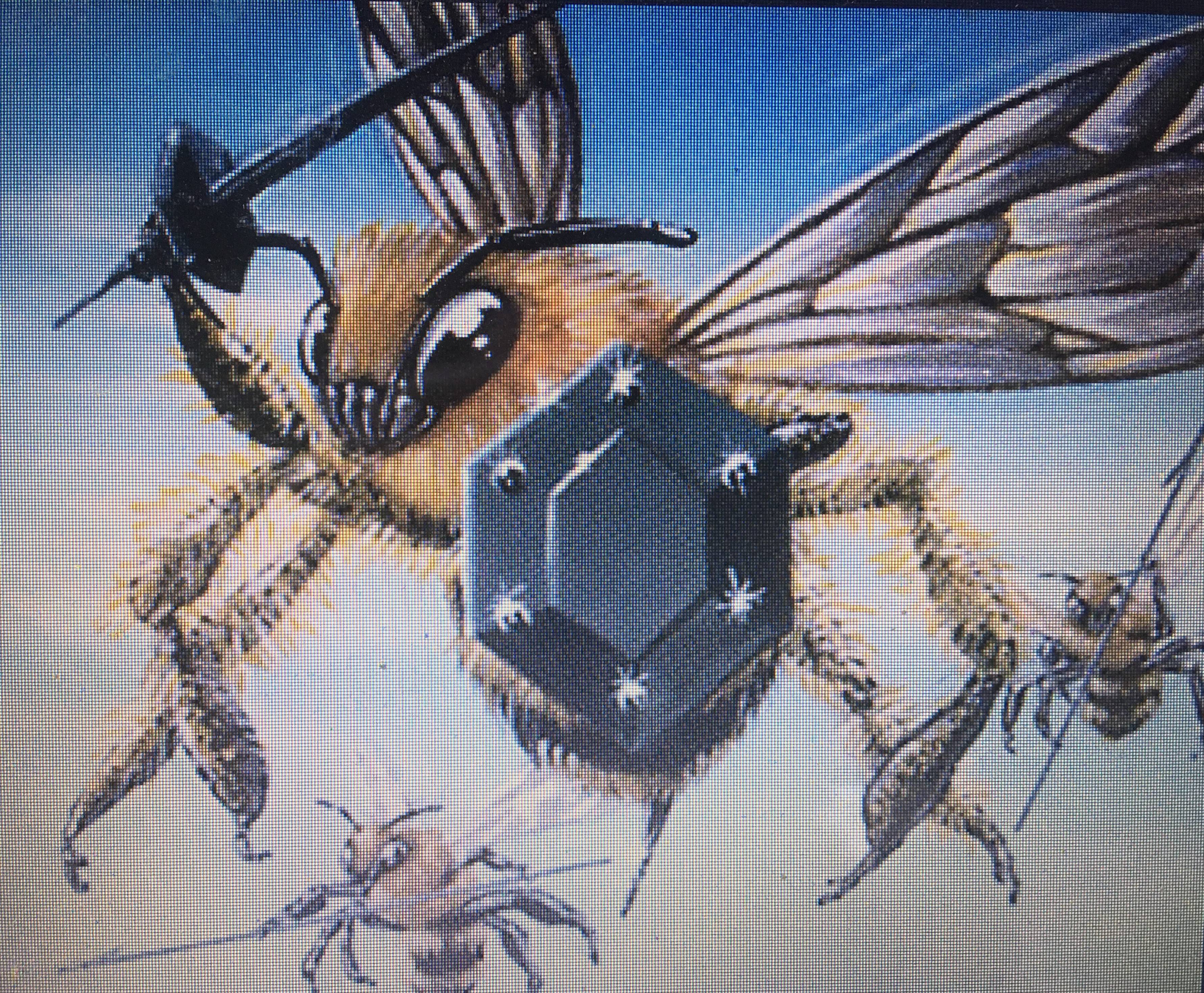 Image with missing alt attribute found on gmbinder.com