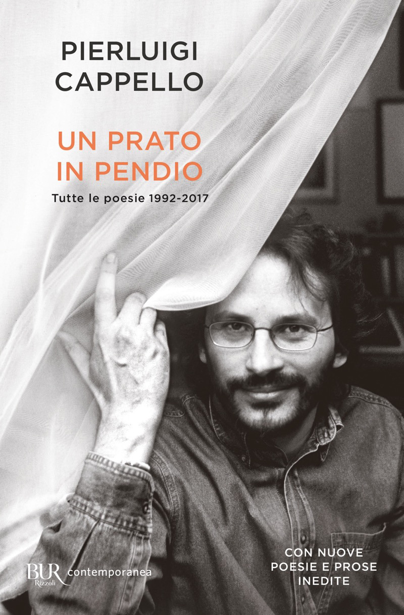 Pierluigi Cappello - Un prato in pendio (2018)