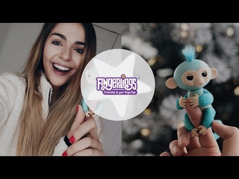 Image with missing alt attribute found on influicity.com