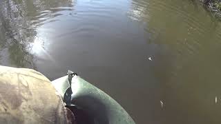 Охота на утку на Сахалине в 2018 году