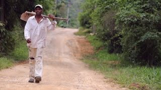 Image with missing alt attribute found on efe.es