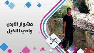 وادي النخيل