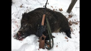 Охота на крупного кабана слабонервным не смотреть очень интересно