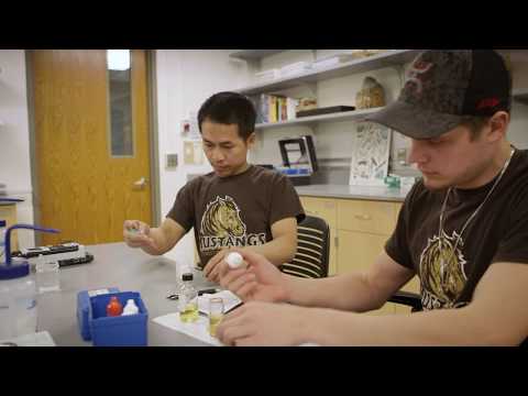 Image with missing alt attribute found on smsu.edu