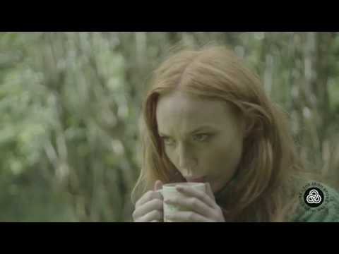 Image with missing alt attribute found on theirishstore.com