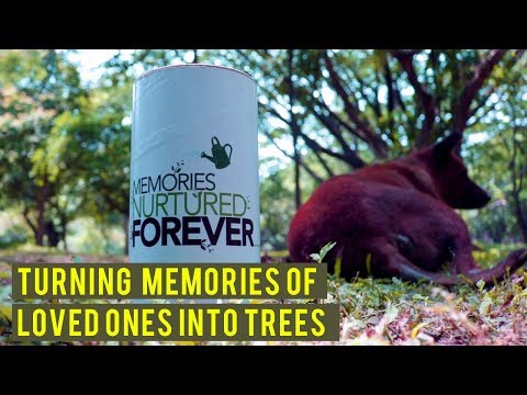 Image with missing alt attribute found on thebetterindia.com