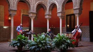 Image with missing alt attribute found on mediosenred.tv