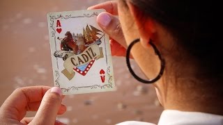 Image with missing alt attribute found on mediosenred.tv