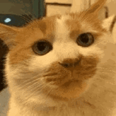 Image with missing alt attribute found on bigfun.cn