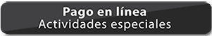 Pago en Línea
