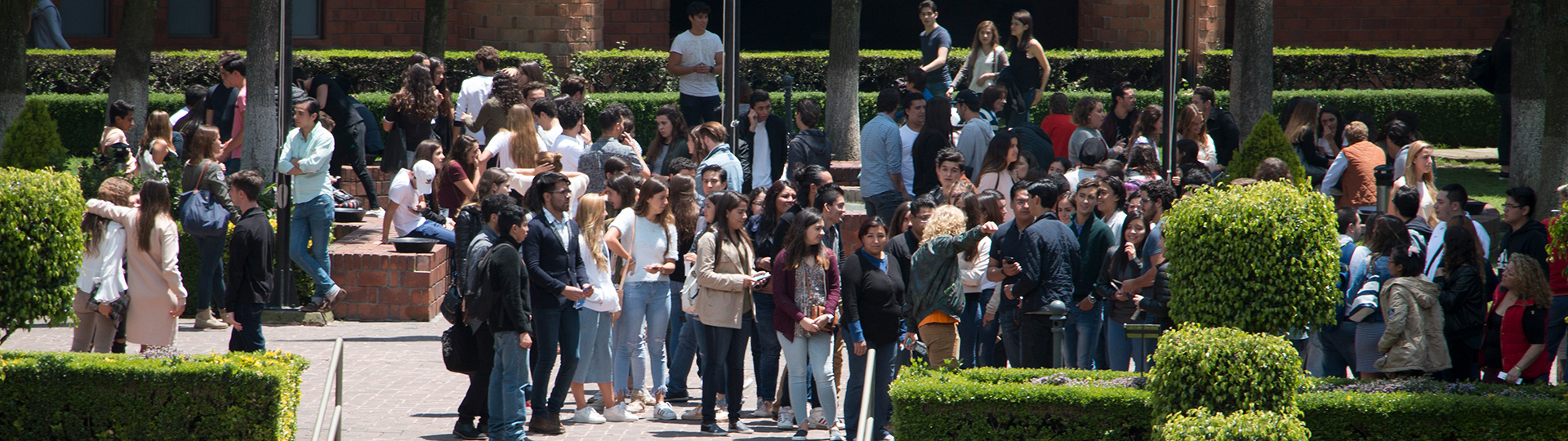 Image with missing alt attribute found on ibero.mx