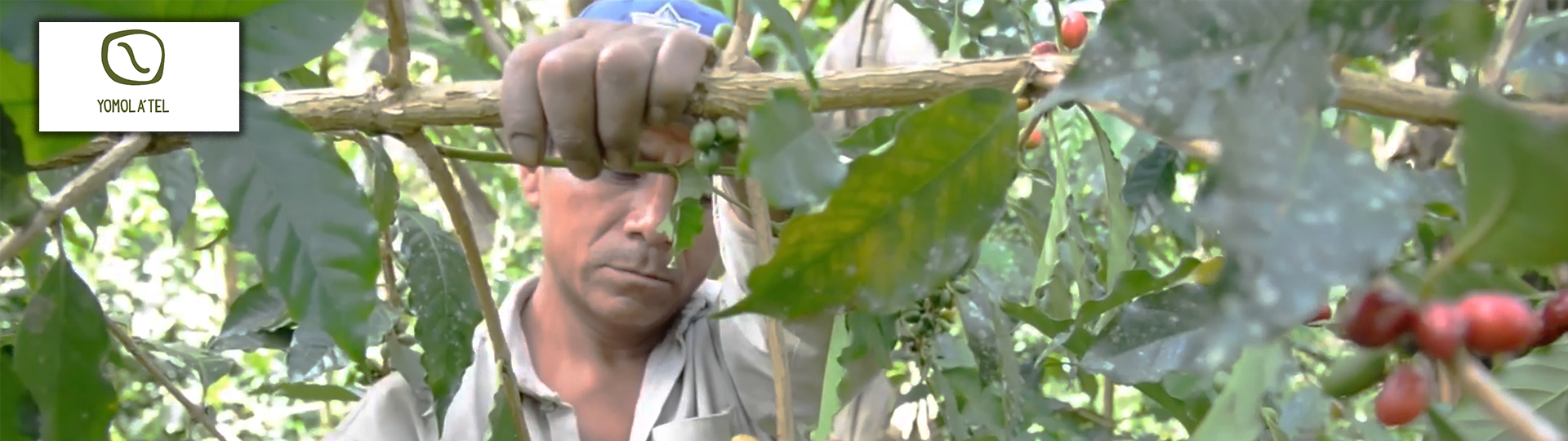 Image with missing alt attribute found on ibero.mx