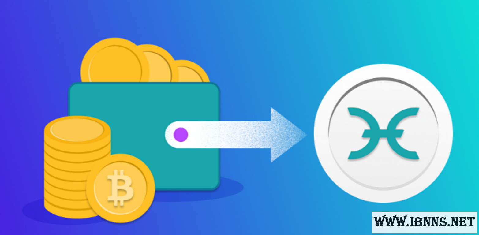 کیف پول هولو چیست؟|معرفی انواع کیف پول HOLO  |آموزش ساخت کیف پول HOT