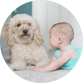 Image with missing alt attribute found on ifg-ivf.com