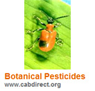 Image with missing alt attribute found on ijpbs.net