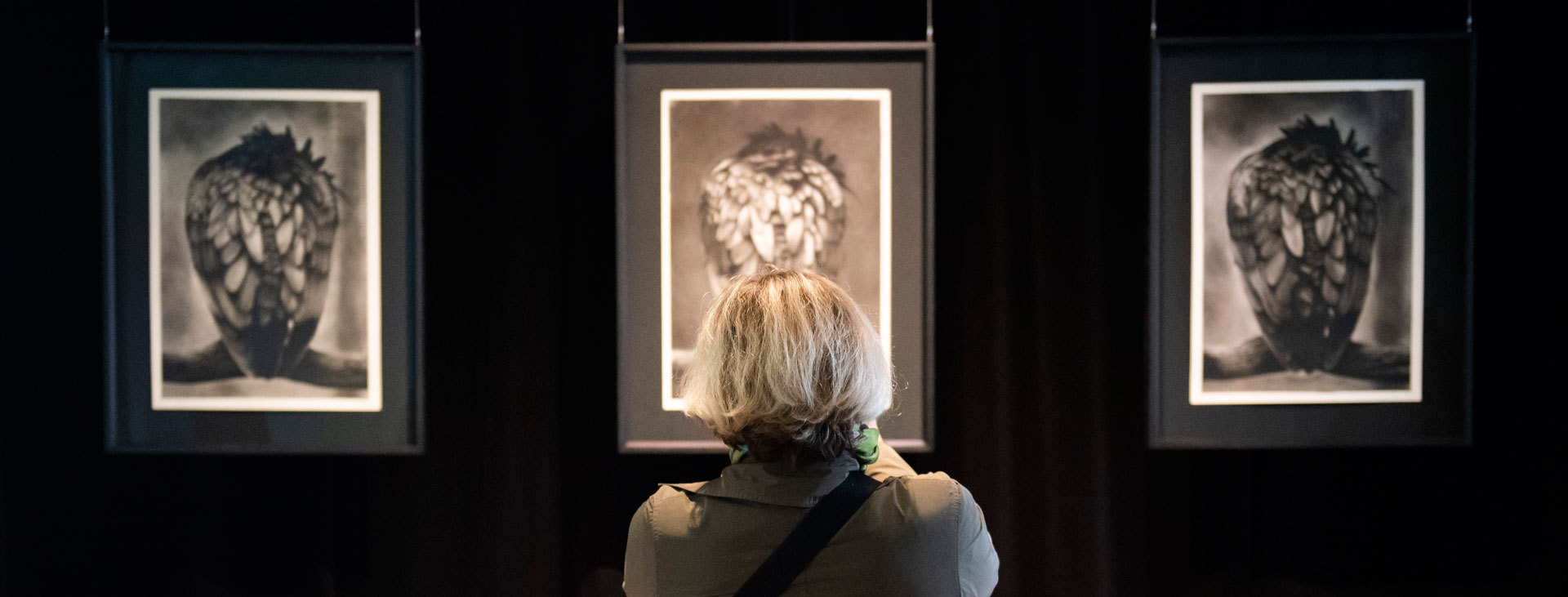 Image with missing alt attribute found on iksv.org