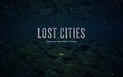 Image with missing alt attribute found on commarts.com