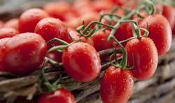 Kan ik het risico op prostaatkanker verkleinen door tomaten te eten?