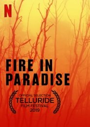 Pelicula Paradise en llamas completa español latino