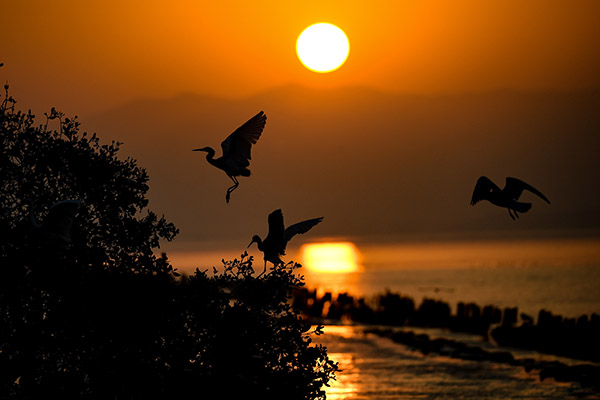 Image with missing alt attribute found on imagenpoblana.com