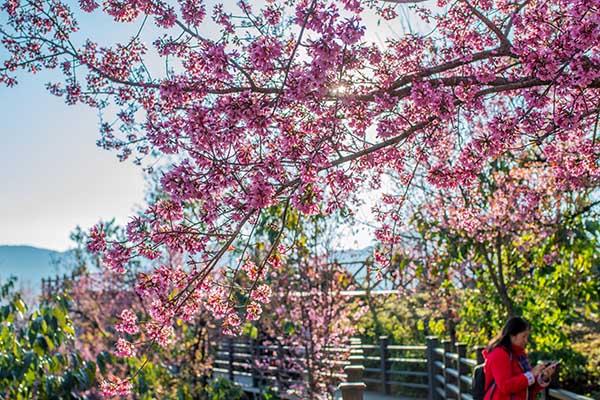 Image with missing alt attribute found on imagenpoblana.com