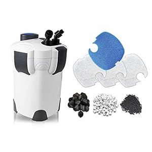 Image with missing alt attribute found on aquariumadviser.com