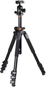 Image with missing alt attribute found on canonistas.com