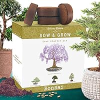 Nature's Blossom Bonsai Tree Kit. Grow 4 Types of Miniature Trees From Seed. A Complete Indoor Gardening Seed Starter...