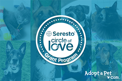 Image with missing alt attribute found on adoptapet.com