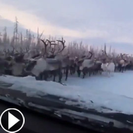 Image with missing alt attribute found on farfeshplus.com