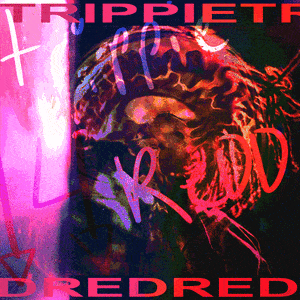 Image with missing alt attribute found on genius.com