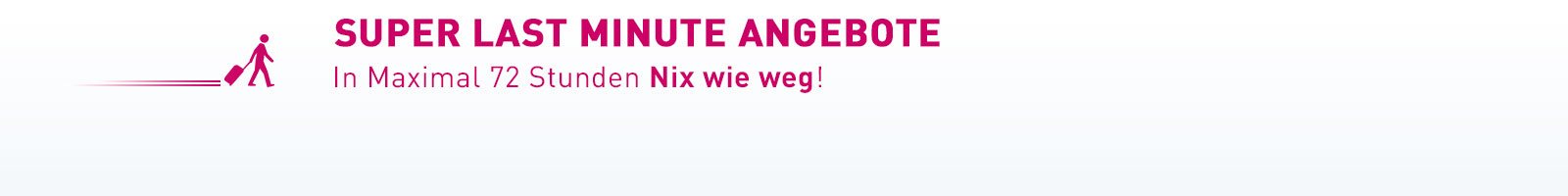 Image with missing alt attribute found on ltur.com