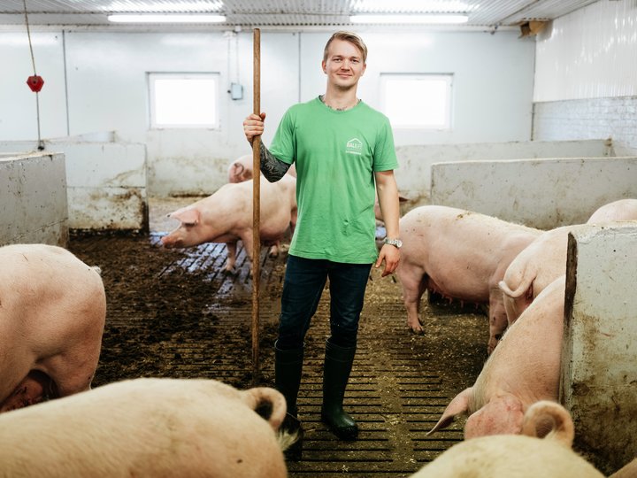 Strenge krav til dyrevelferd