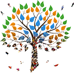 Image with missing alt attribute found on mrowl.com