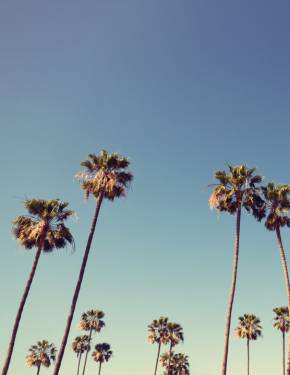 Image with missing alt attribute found on rove.me