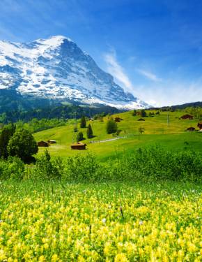 Image with missing alt attribute found on rove.me