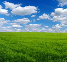 Free Field Royalty Free Stock Photo - 10509135