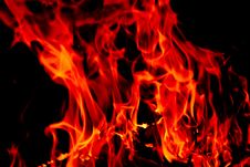 Free Burning Fire Royalty Free Stock Photo - 2287855