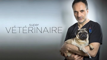 Image with missing alt attribute found on tou.tv