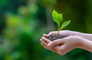 Image with missing alt attribute found on visao.pt