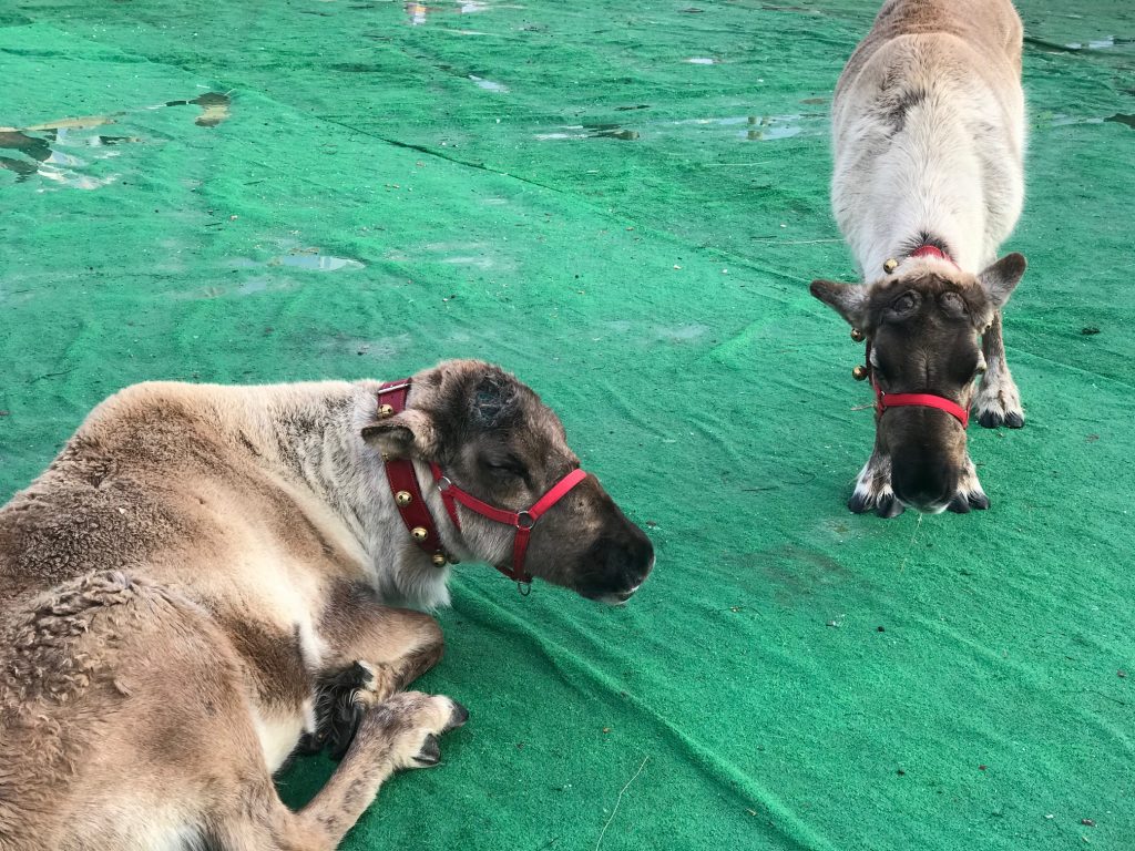 Image with missing alt attribute found on visao.pt