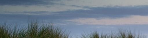 Image with missing alt attribute found on greekgear.com