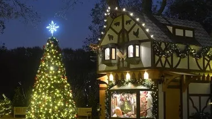 Image with missing alt attribute found on dallasobserver.com