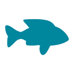 Image with missing alt attribute found on zooroyal.de