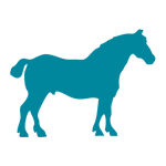 Image with missing alt attribute found on zooroyal.de